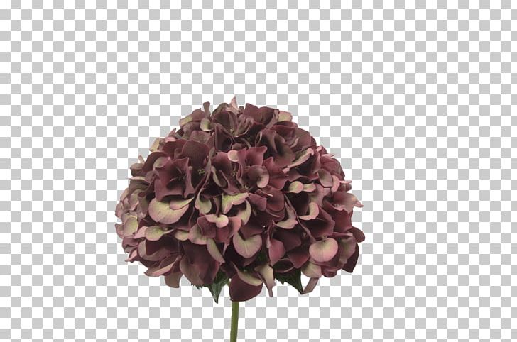 Cut Flowers Hydrangea Flower Bouquet Petal PNG, Clipart, Coppertips, Cornales, Cut Flowers, Flower, Flower Bouquet Free PNG Download