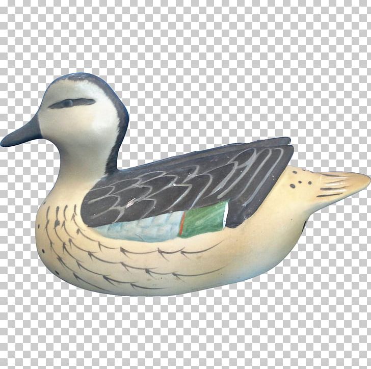 Mallard Goose Duck Teal Fauna PNG, Clipart, Animals, Beak, Bird, Duck, Ducks Geese And Swans Free PNG Download