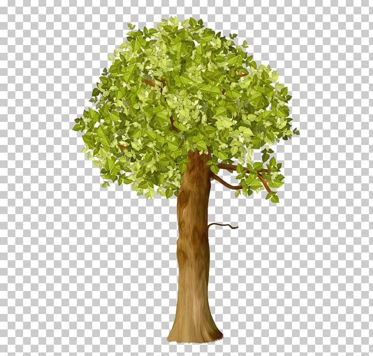 Tree Oak Shrub PNG, Clipart, Agac, Branch, Drawing, Flowerpot, Forest Free PNG Download