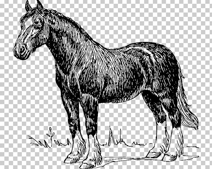 Clydesdale Horse Tennessee Walking Horse Shire Horse Draft Horse PNG, Clipart, Black, Black And White, Carriage, Clydesdale Horse, Drawing Free PNG Download