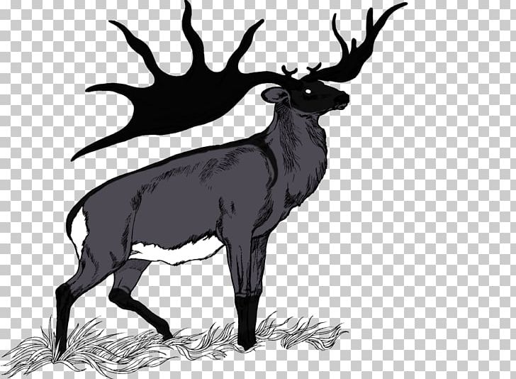 Elk Reindeer Mammal Horse Cattle PNG, Clipart, Animal, Antler, Black, Black And White, Cattle Free PNG Download