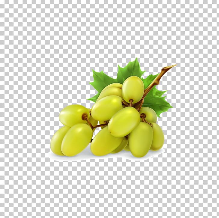 Juicer Grape PNG, Clipart, Adobe Illustrator, Dried Fruit, Food, Fruit, Fruit Nut Free PNG Download