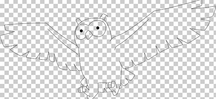 Bird Drawing Owl Line Art Sketch PNG, Clipart, Angle, Animal, Animal Figure, Animals, Artwork Free PNG Download