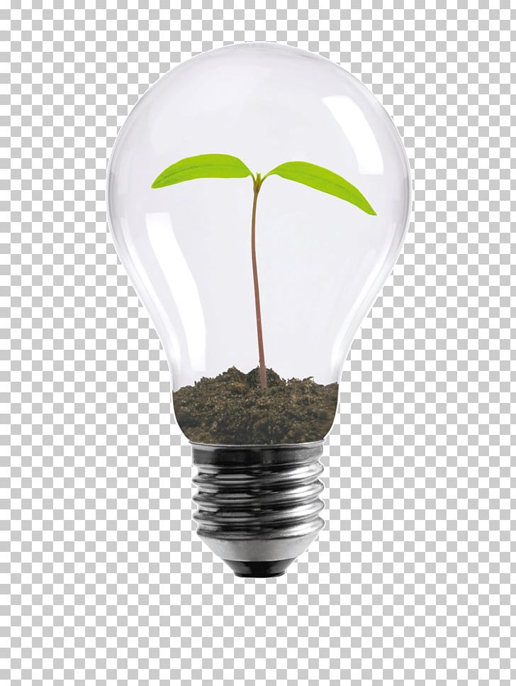 Incandescent Light Bulb Grow Light Business Organization PNG, Clipart, Bulb, Business, Compact Fluorescent Lamp, Consultant, Electricity Free PNG Download