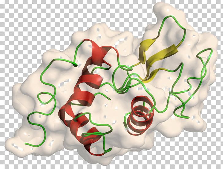 Lysozyme Protein Structure Protein Tertiary Structure PNG, Clipart, Amino Acid, Biochemistry, Biology, Chemical Structure, Enzyme Free PNG Download
