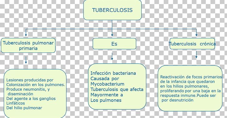 Mycobacterium Tuberculosis Cuadro Sinóptico Malnutrition Antibiotics PNG, Clipart, Angle, Antibiotics, Area, Bacillus, Bacteria Free PNG Download