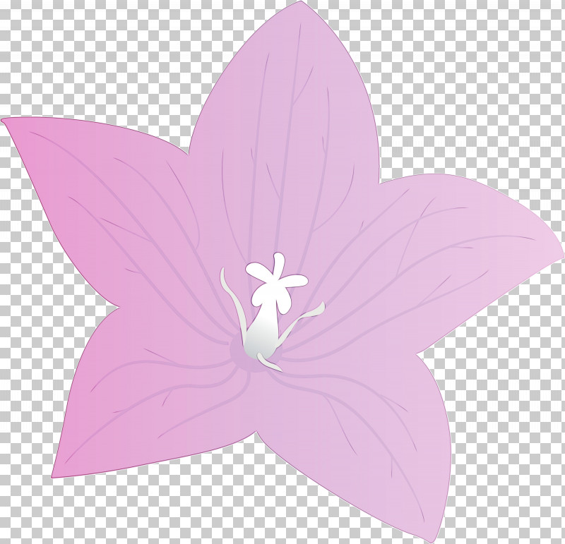 Lavender PNG, Clipart, Balloon Flower, Flower, Lavender, Paint, Petal Free PNG Download