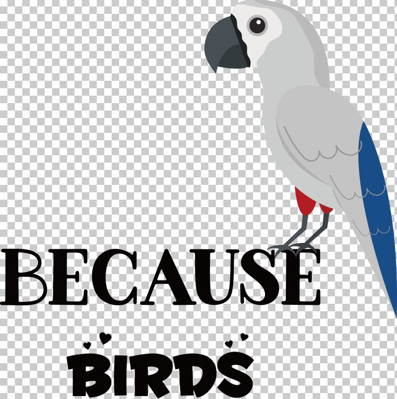 Because Birds Bird Animal PNG, Clipart, Animal, Beak, Biology, Bird, Birds Free PNG Download