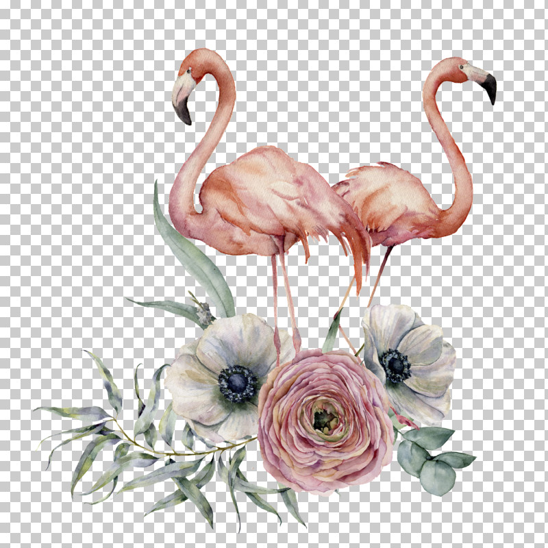 Flamingo PNG, Clipart, Bird, Flamingo, Flower, Greater Flamingo, Pink Free PNG Download
