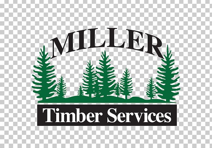 Logo Miller Timber Services Inc Lumberjack Business PNG, Clipart, Area, Brand, Business, Christmas Tree, Conifer Free PNG Download