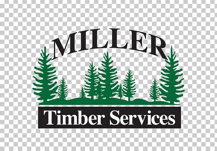 Timber 2 by Catur Argi on Dribbble