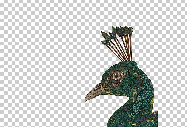 Wall Decal Drawing Work Of Art PNG, Clipart, Animals, Art, Avatars, Beak, Bird Free PNG Download