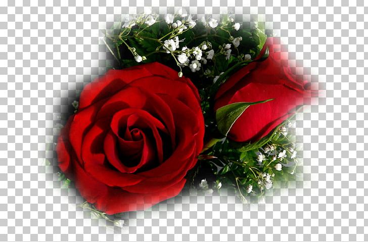 Desktop Rose PNG, Clipart, Black And White, Black Rose, Closeup, Computer Wallpaper, Cut Flowers Free PNG Download