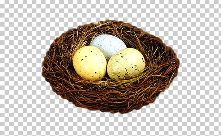 Nest Bird Egg Easter Bunny PNG, Clipart, Animals, Bird, Bird Nest, Color, Drawing Free PNG Download