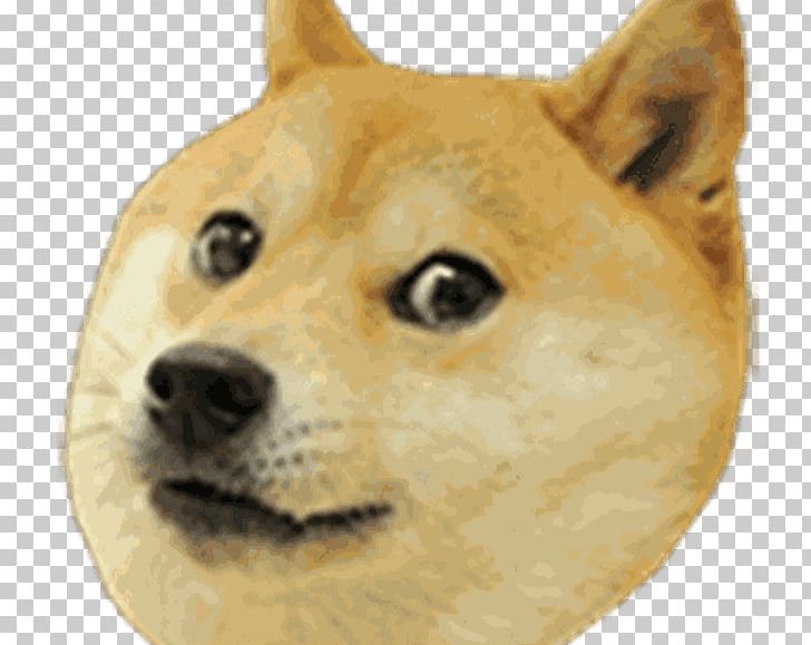 Shiba Inu Doge Sticker Decal Akita PNG, Clipart, Akita Inu, Ancient Dog Breeds, Animal, Bumper Sticker, Carnivoran Free PNG Download