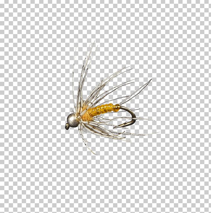 Artificial Fly Holly Flies Discounts And Allowances Insect PNG, Clipart, Arthropod, Artificial Fly, Discounts And Allowances, Facebook Inc, Fly Free PNG Download