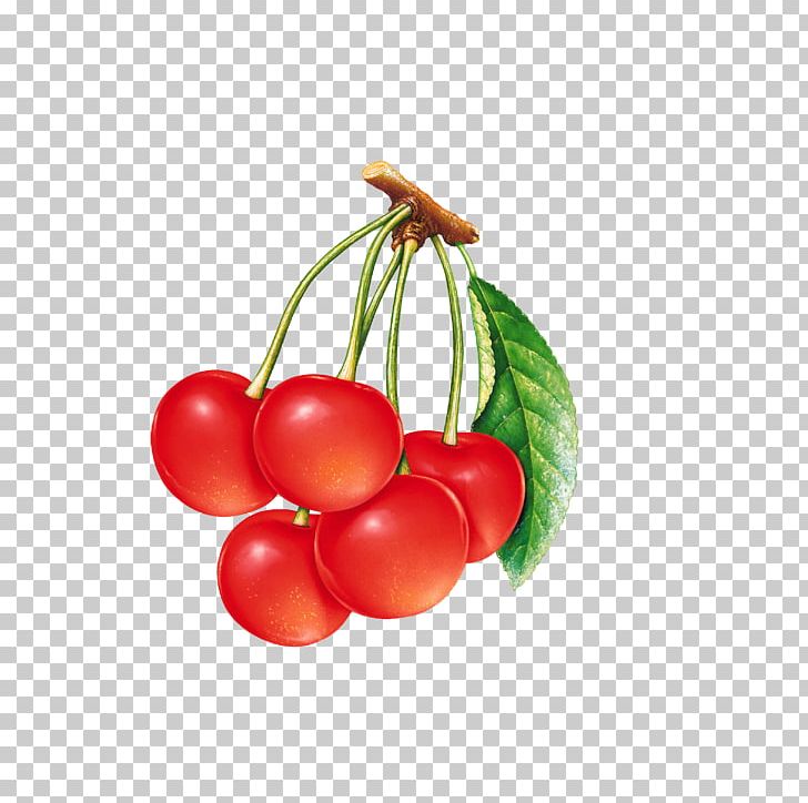Berry Cherry Blossom Fruit PNG, Clipart, Berry, Blossom, Blueberry, Cherries, Cherry Free PNG Download