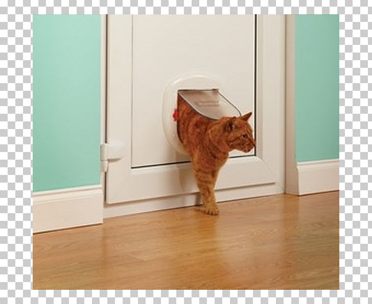 Cat & Dog Flaps Cat & Dog Flaps Window Sliding Glass Door PNG, Clipart, Animals, Big Cat, Carnivoran, Cat, Cat Like Mammal Free PNG Download
