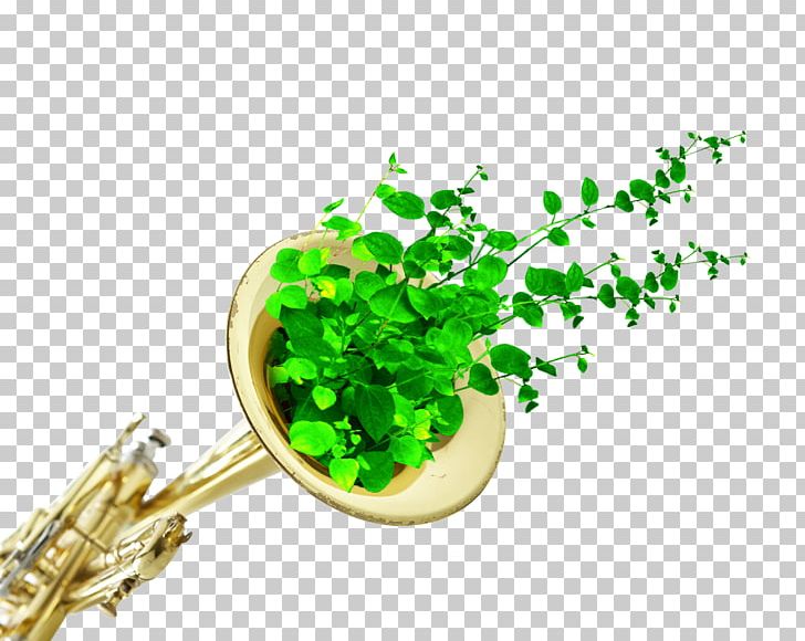 Musical Note Musical Instrument Trumpet PNG, Clipart, Arts, Bugle, Download, Green, Leaf Free PNG Download