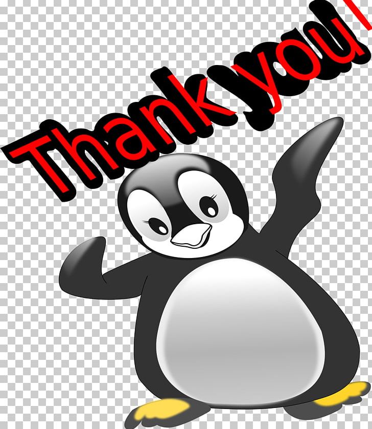 Penguin YouTube Bird PNG, Clipart, Animals, Beak, Bird, Cartoon, Copyright Free PNG Download