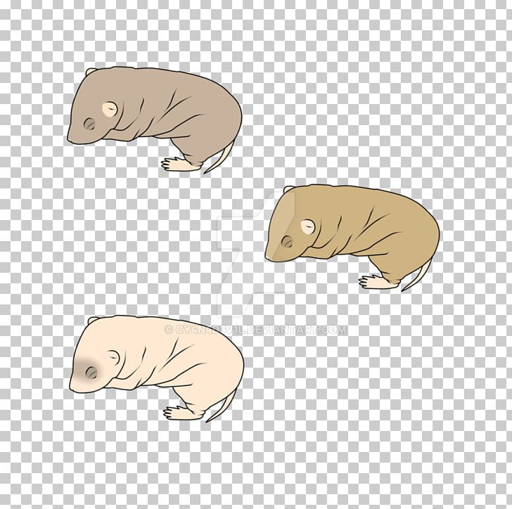 Rattery Canidae Bear PNG, Clipart, Anteater, Art, Artist, Bear, Canidae Free PNG Download
