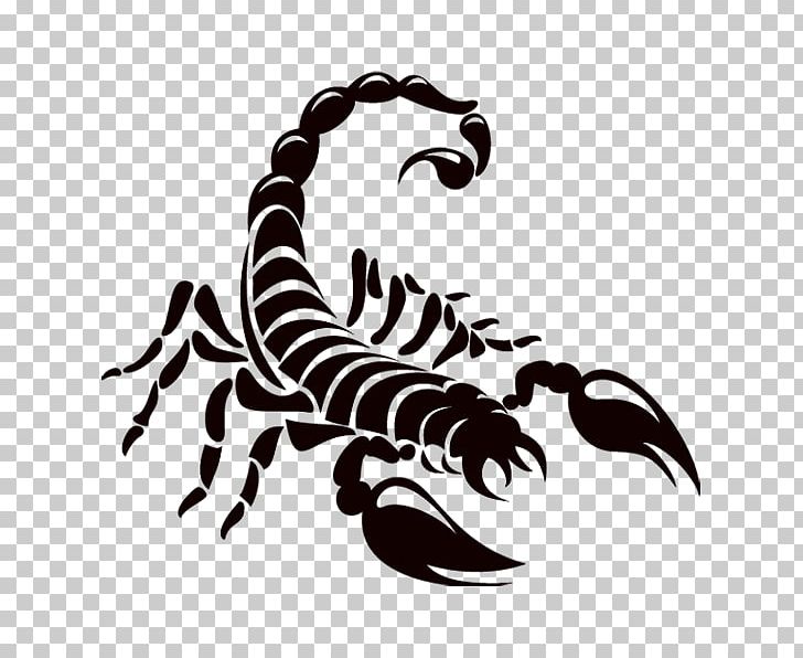 Scorpion Logo Drawing PNG, Clipart, Arachnid, Arthropod, Black And White, Claw, Drawing Free PNG Download