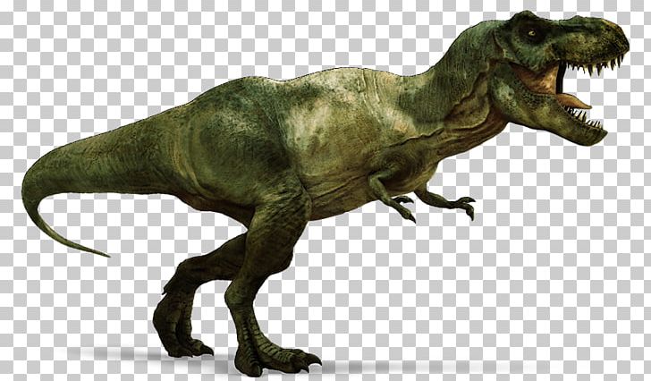 Tyrannosaurus Triceratops Velociraptor Carnotaurus Stegosaurus PNG, Clipart, Carnotaurus, Dinosaur, Extinction, Fantasy, Hell Creek Formation Free PNG Download