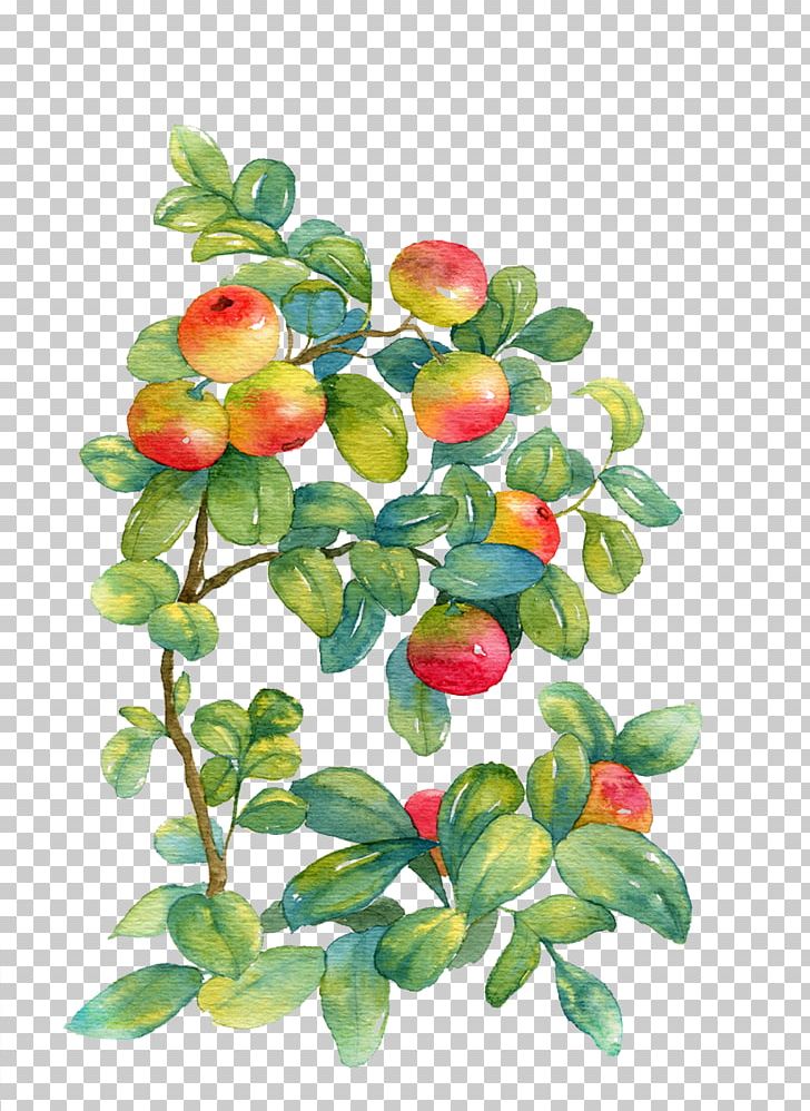 Watercolor Painting Watercolor: Flowers PNG, Clipart, Apple, Apple Fruit, Apple Logo, Apple Tree, Art Free PNG Download