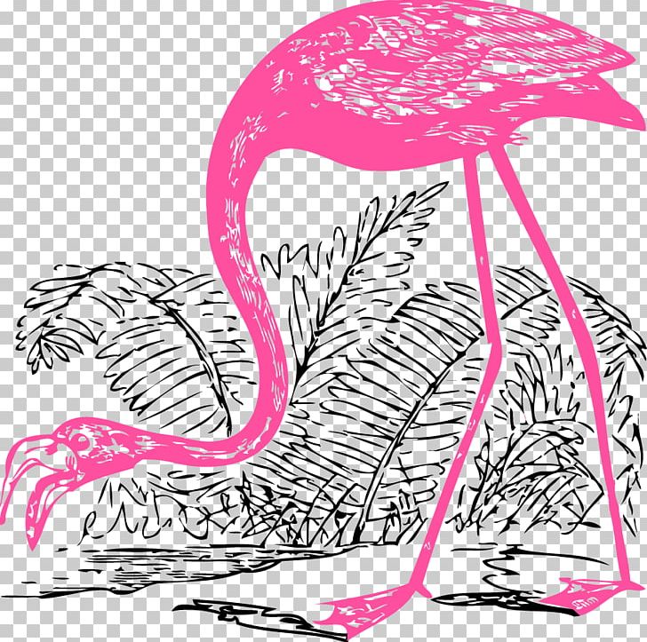 Bird Flamingo Illustration PNG, Clipart, Animals, Aquatic, Area, Art, Drawing Free PNG Download
