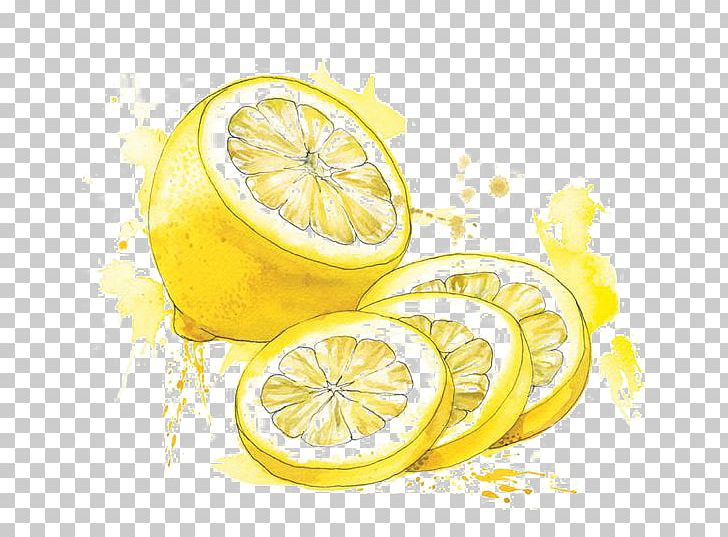 Watercolor Painting Food Drawing Illustration PNG, Clipart, Art, Cartoon, Citrus, Drawn, Fruit Free PNG Download