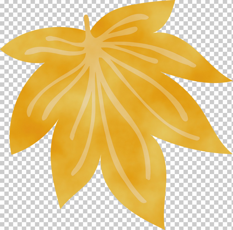 Carambola Leaf Yellow Symmetry Science PNG, Clipart, Biology, Carambola, Leaf, Paint, Plants Free PNG Download