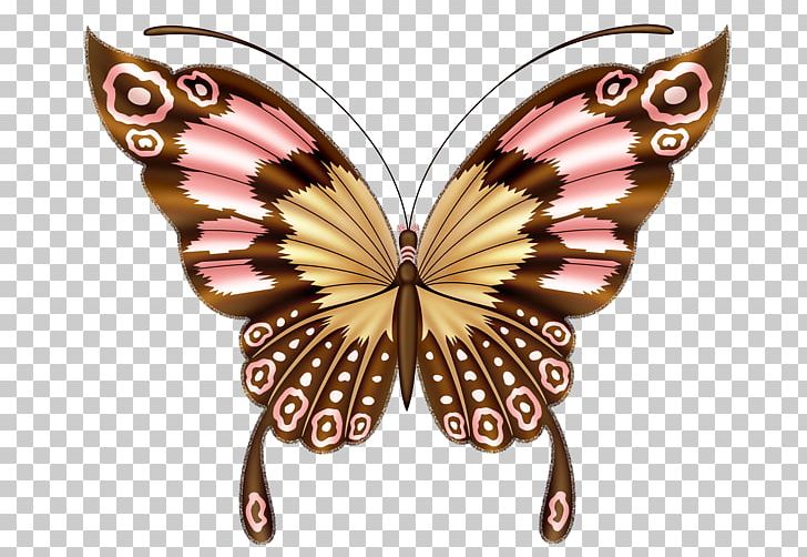 Butterfly Drawing PNG, Clipart, Art, Art Nouveau, Brush Footed Butterfly, Butterflies And Moths, Butterfly Free PNG Download
