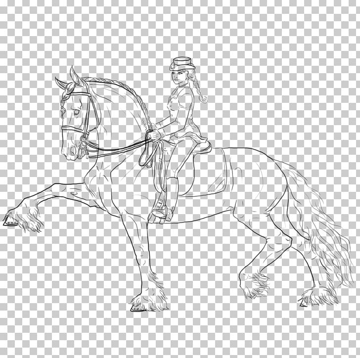 Friesian Horse Bridle Pony Line Art Sketch PNG, Clipart, Arabian Horse, Art, Artwork, Bridle, Costume Design Free PNG Download