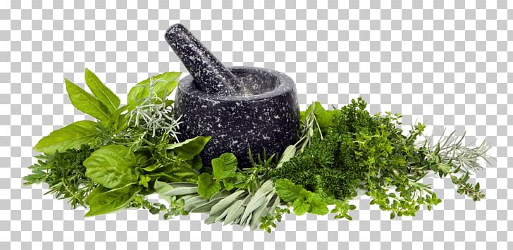 Mortar And Pestle Herb Stock Photography Spice Food PNG, Clipart, Flavor, Food, Fotosearch, Grass, Health Free PNG Download