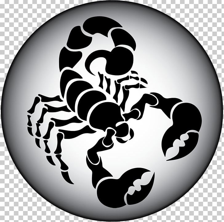 Scorpion PNG, Clipart, Arachnid, Arthropod, Black And White, Download, Drawing Free PNG Download