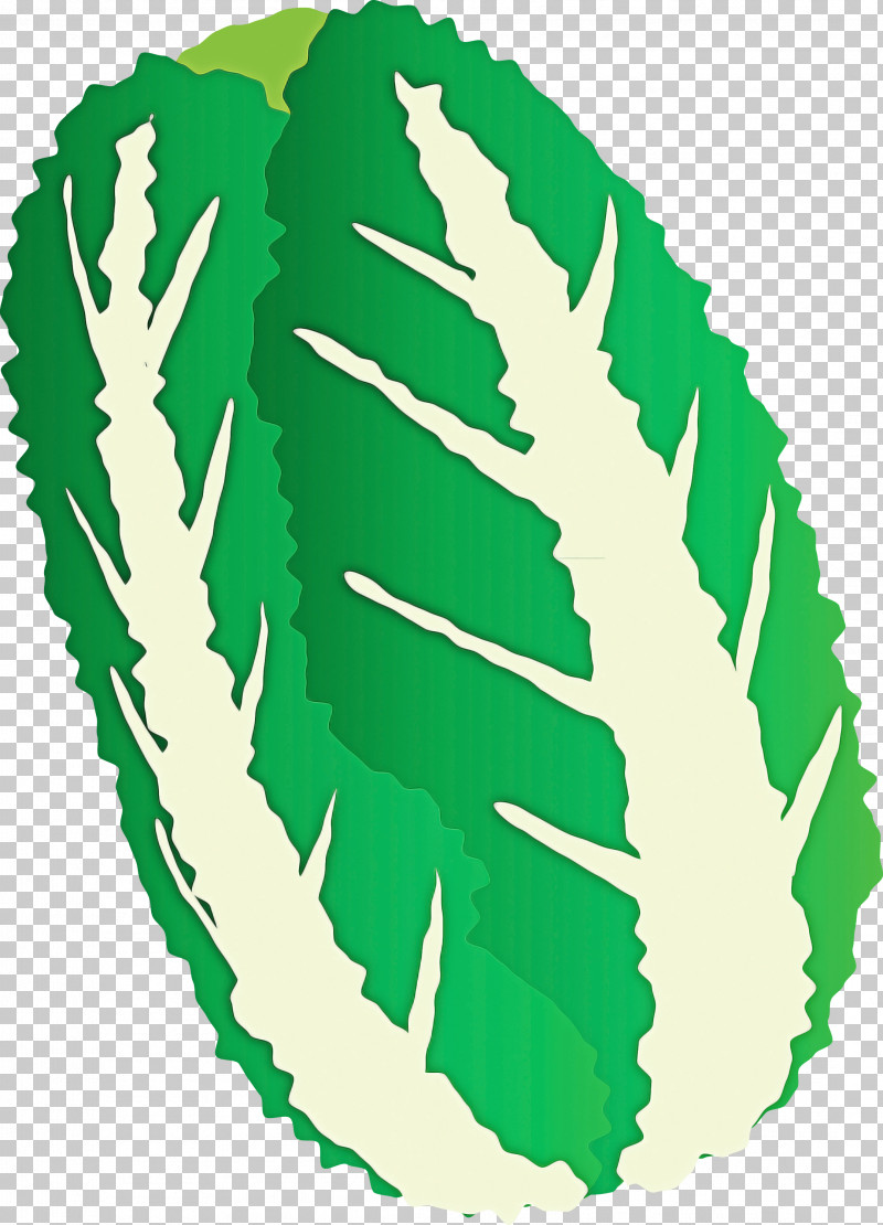 Nappa Cabbage PNG, Clipart, Green, Leaf, Logo, Nappa Cabbage Free PNG Download