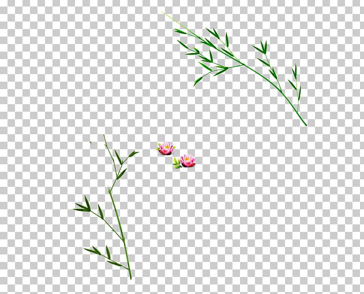 Floral Design Petal Pattern PNG, Clipart, Area, Bamboo, Bamboo Border, Bamboo Frame, Bamboo Leaf Free PNG Download