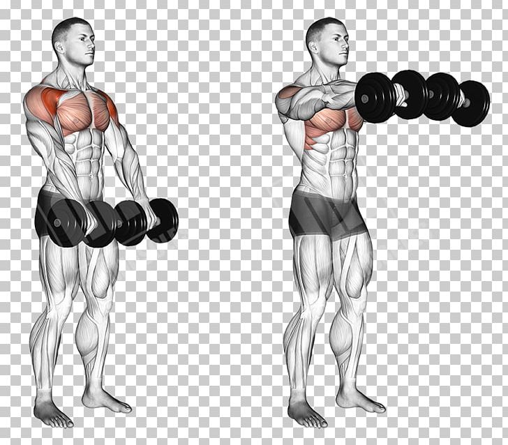 Front Raise Dumbbell Overhead Press Fly Exercise PNG, Clipart, Abdomen, Arm, Back, Barbell, Bench Free PNG Download