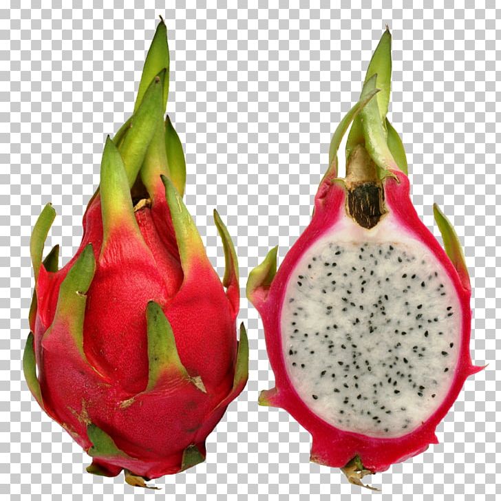 Juice Hylocereus Undatus Pitaya Fruit Eating PNG, Clipart, Apple Fruit, Cactaceae, Carambola, Dragon, Dragonfruit Free PNG Download