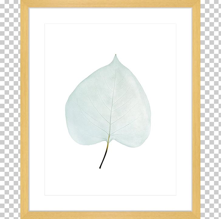 Leaf Product PNG, Clipart, Leaf, Leaf Collection, Petal Free PNG Download