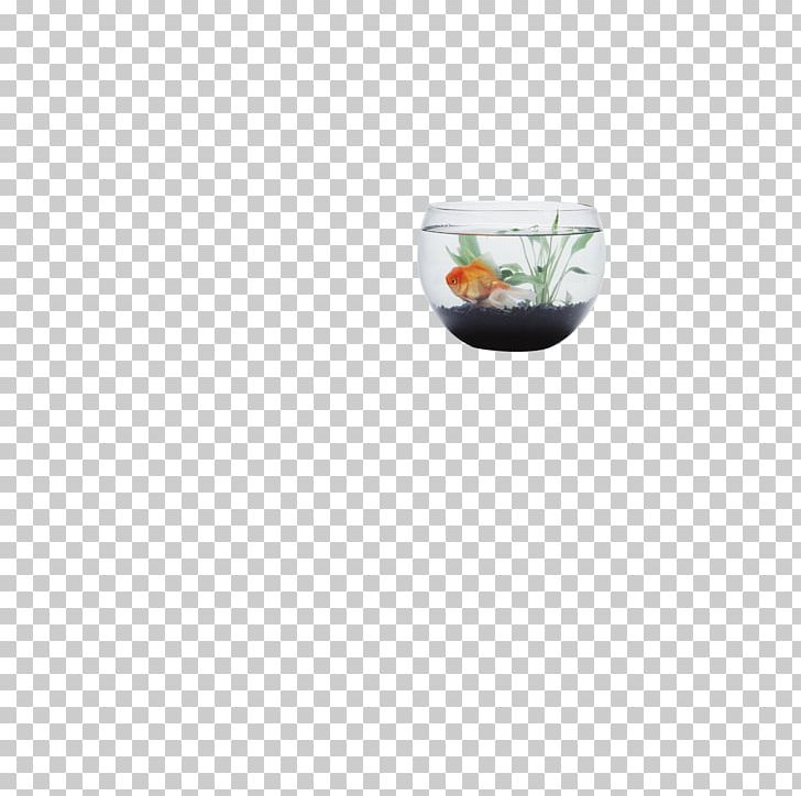 Aquarium Fishkeeping PNG, Clipart, Adobe Illustrator, Animals, Aquarium, Aquarium Fish, Culture Free PNG Download