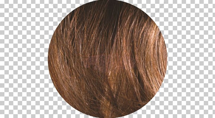 Brown Hair Wig Caramel Color Brown Hair PNG, Clipart, Brown, Brown Hair, Caramel Color, Glaze, Hair Free PNG Download