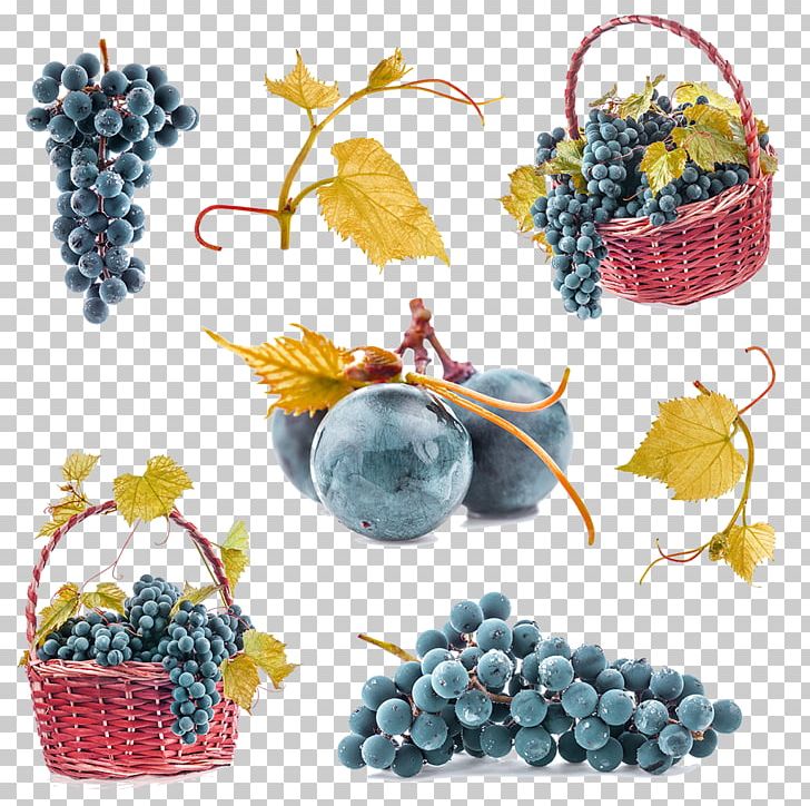 Common Grape Vine Fruit Grape Leaves PNG, Clipart, Christmas Decoration, Common Grape Vine, Deco, Decorative, Decorative Elements Free PNG Download