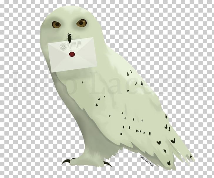 Owl Harry Potter And The Deathly Hallows Hogwarts Hedwig PNG, Clipart, Animals, Art, Beak, Bird, Bird Of Prey Free PNG Download