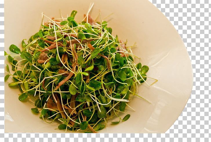 Namul Icon PNG, Clipart, 1000000, Alfalfa, Alfalfa Sprouts, Animals, Asian Food Free PNG Download