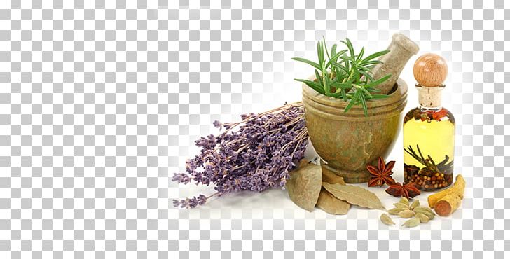 Pharmaceutical Drug Jaundice Herbalism Cure Medicine PNG, Clipart, Alternative Health Services, Cure, Disease, Flowerpot, Food Free PNG Download