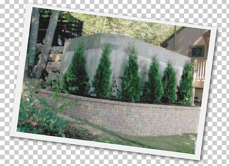 Garden Green Tree Rectangle Herb PNG, Clipart, Garden, Grass, Green, Herb, Landscape Free PNG Download