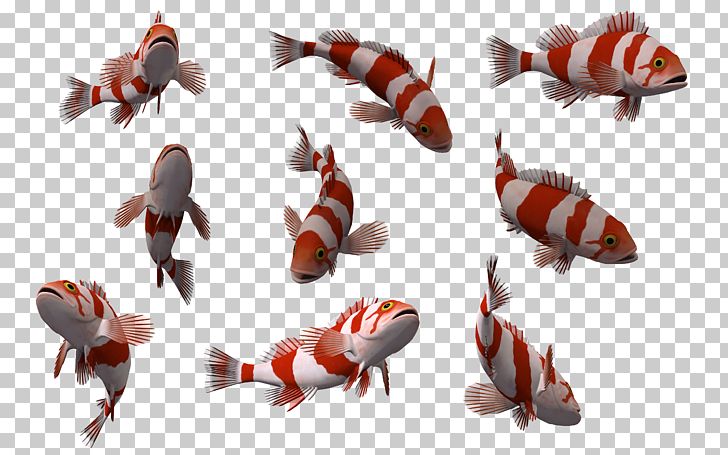Incandescent Light Bulb Water Photo Manipulation PNG, Clipart, 3d Animation, 3d Arrows, 3d Cartoon Fish, Animal, Animals Free PNG Download
