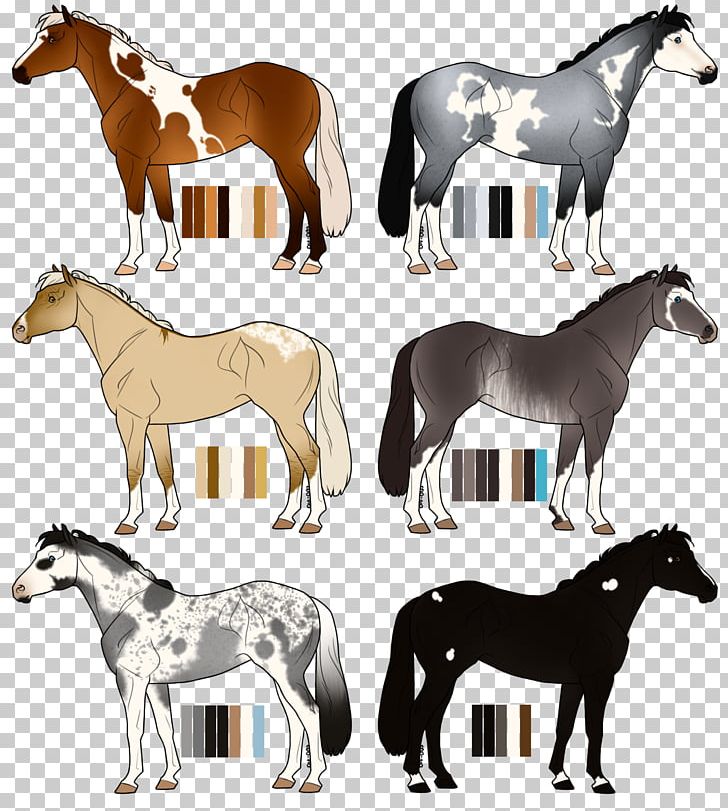 Mustang Irish Sport Horse Stallion Foal Mare PNG, Clipart, Colt, Deviantart, Fauna, Foal, Horse Free PNG Download