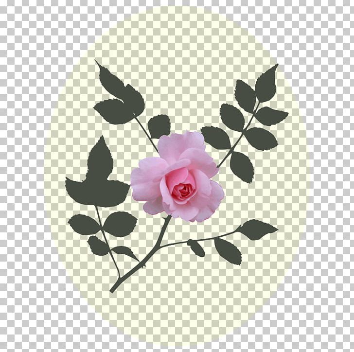 Rose Pink PNG, Clipart, Color, Desktop Wallpaper, Encapsulated Postscript, Flora, Floral Design Free PNG Download